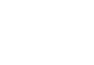 Vzakeini logo